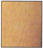 Skin texture before microdermabrasion